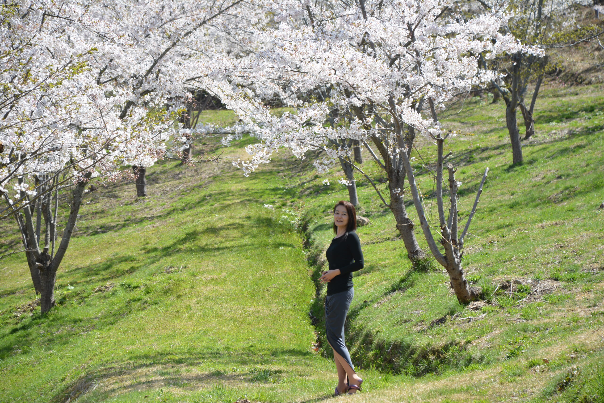 真人公園で桜の撮影会