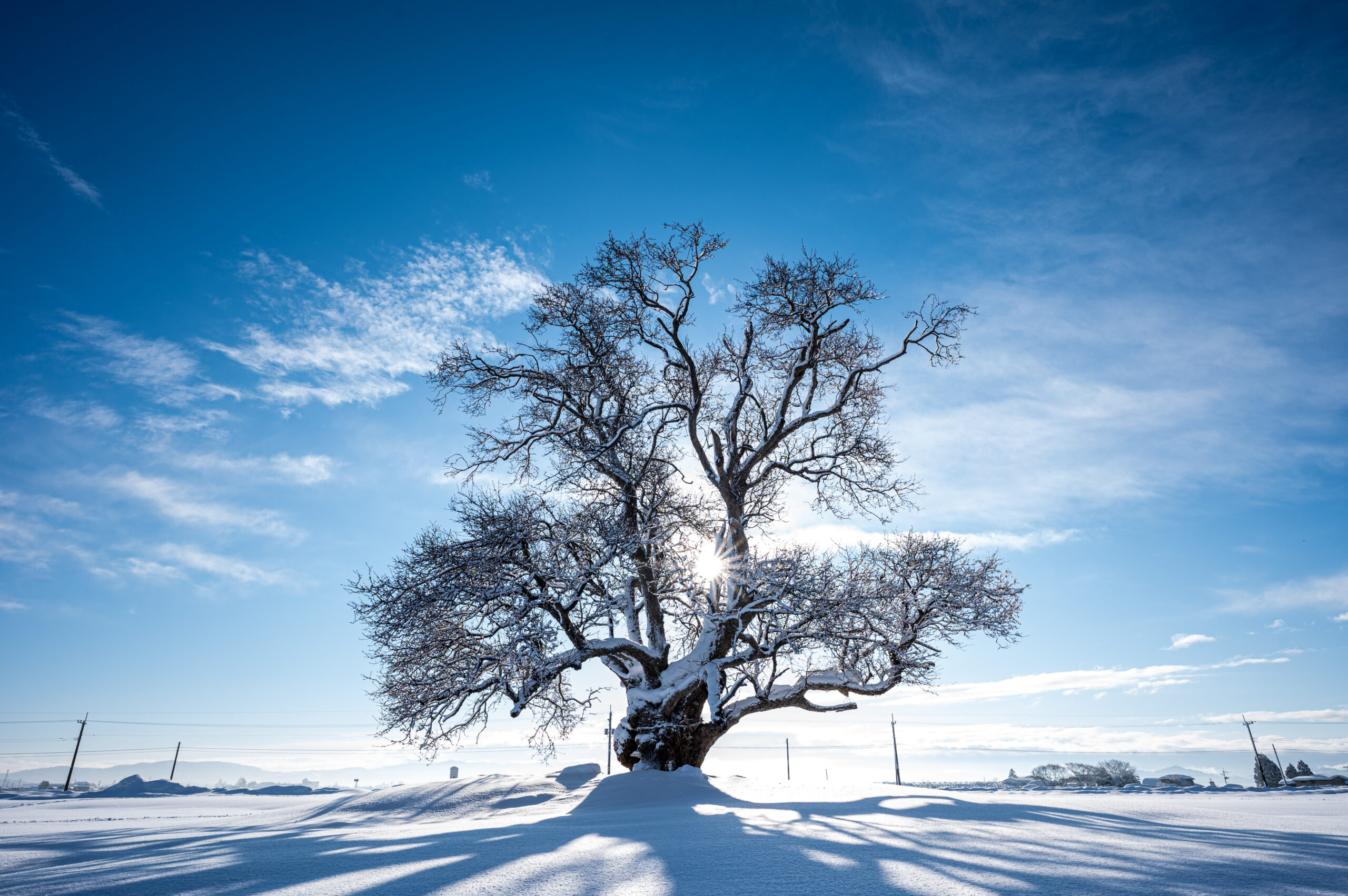 雪すたぐらむ！#07