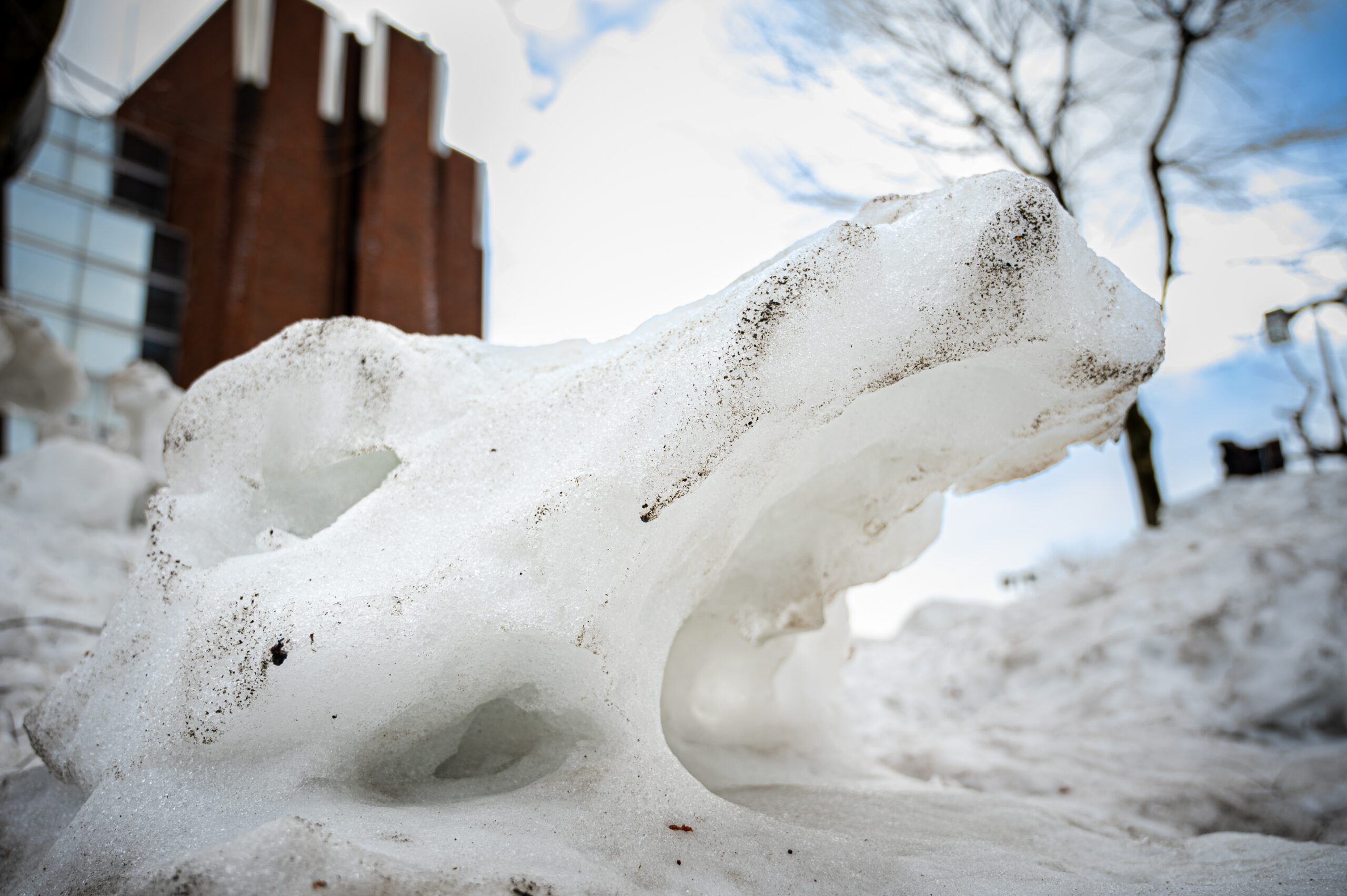 雪すたぐらむ！#11