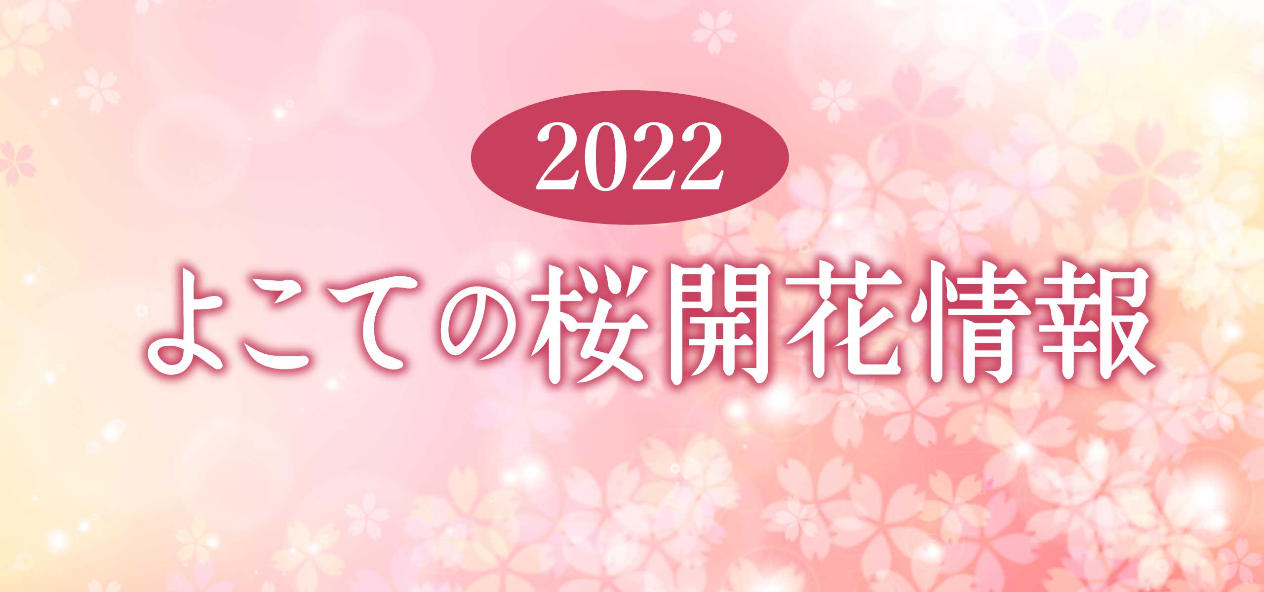 2022よこての桜開花情報