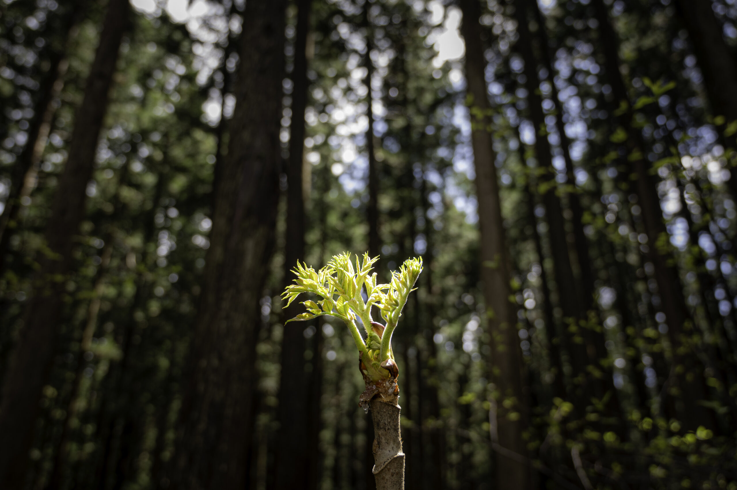 ぼくのゴールデンウィーク
