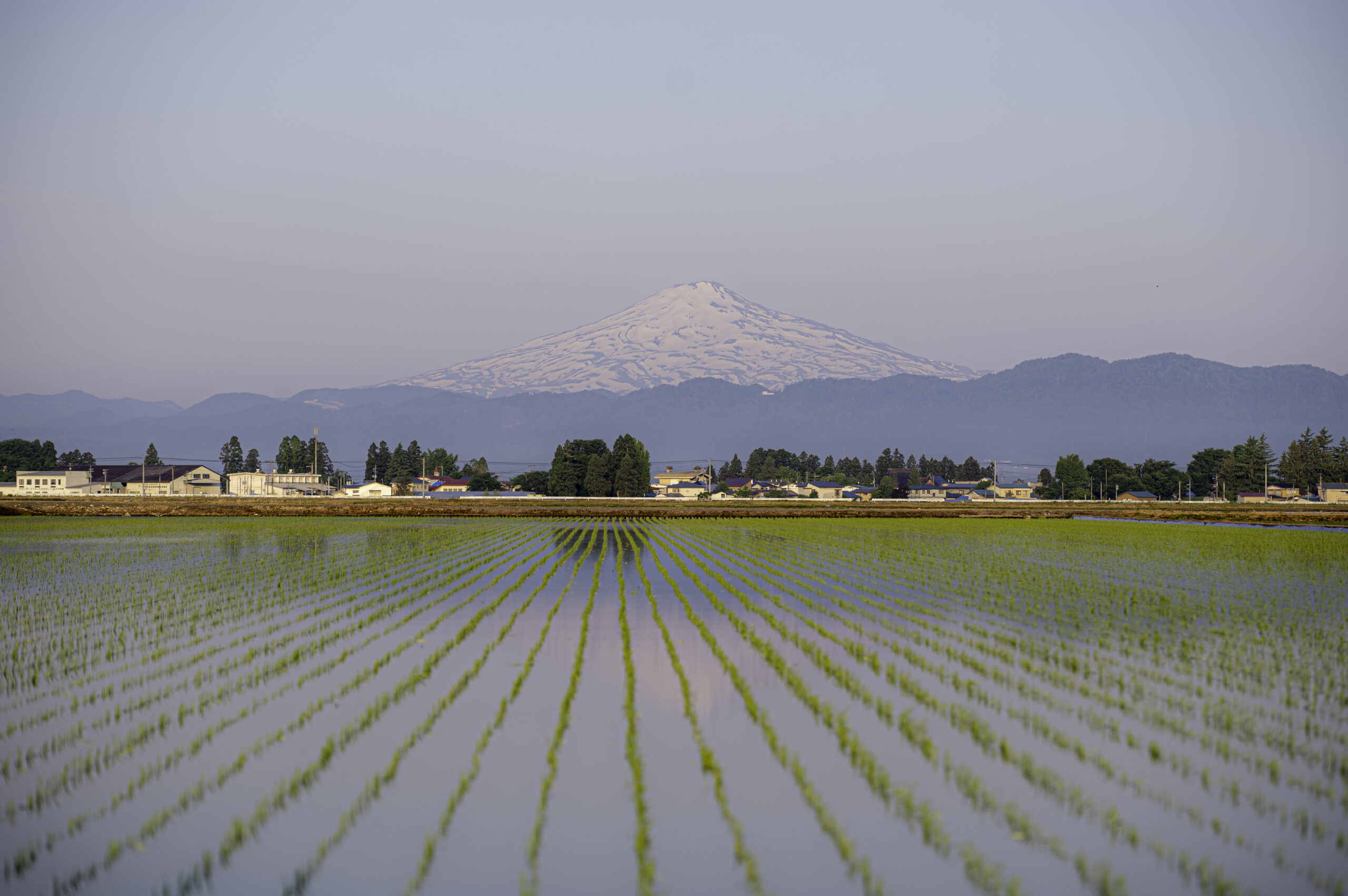 出羽すたぐらむ！#02