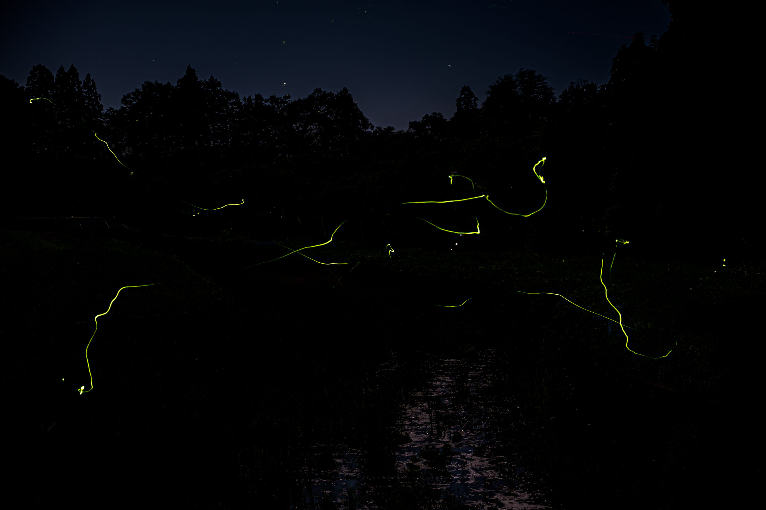 出羽すたぐらむ！#04