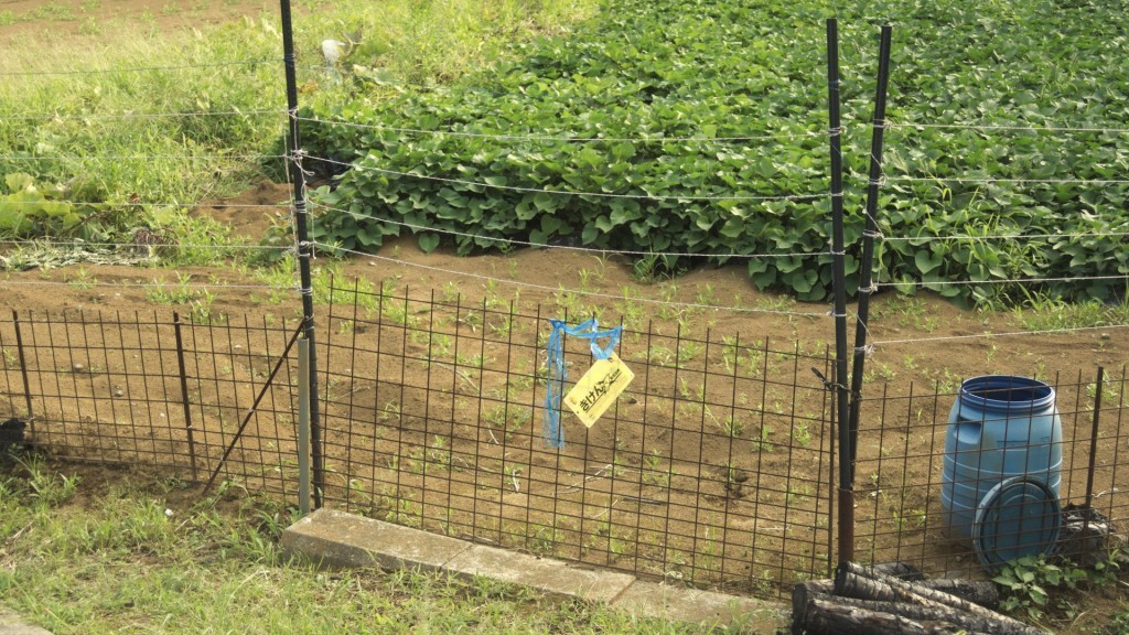 獣害防止対策事業をご活用ください