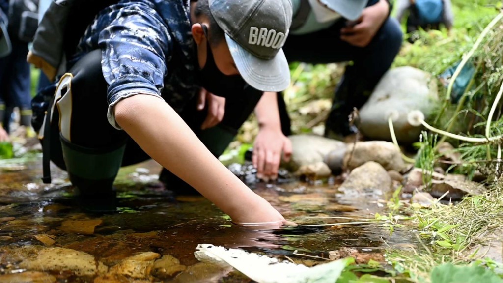 「釣りキチ三平の里」自然体験塾 狙半内川でいきもの観察