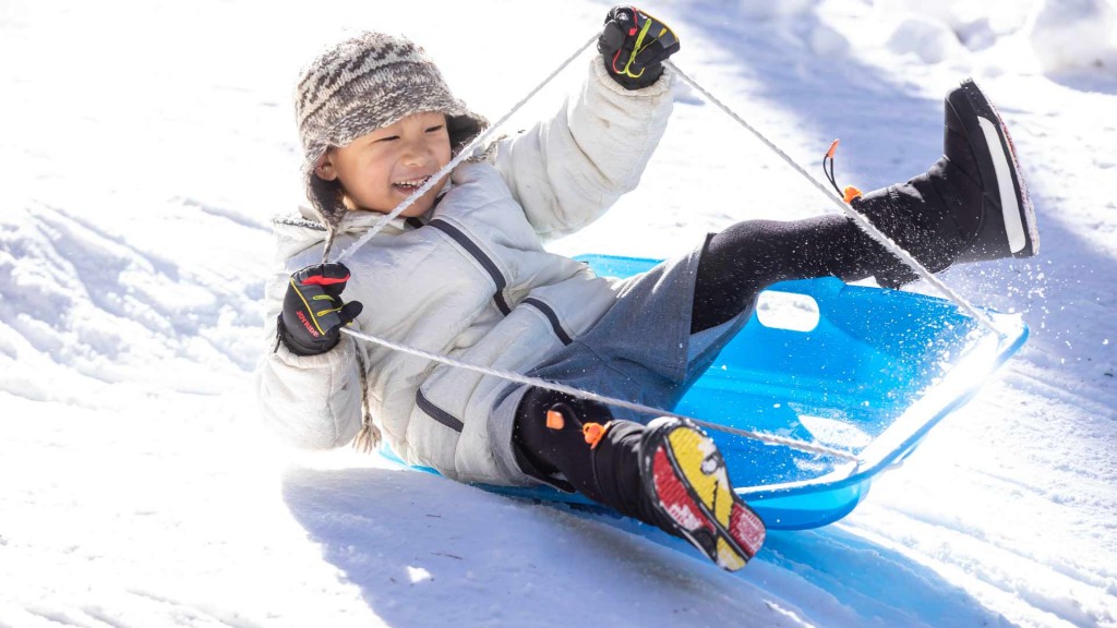 赤坂総合公園スノーパーク