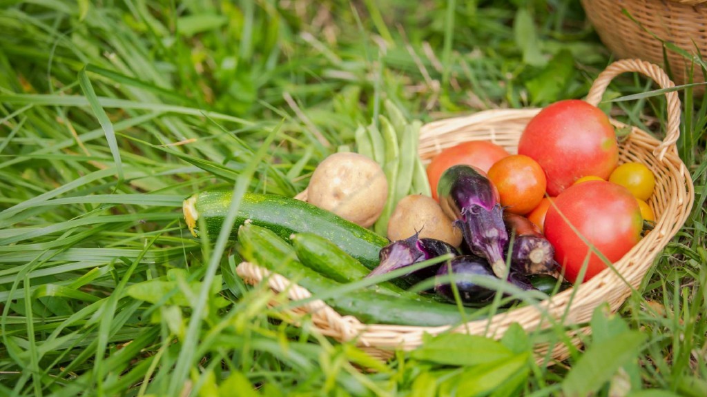 横手地域インカレッジ市民農園 令和8年度使用者を募集します