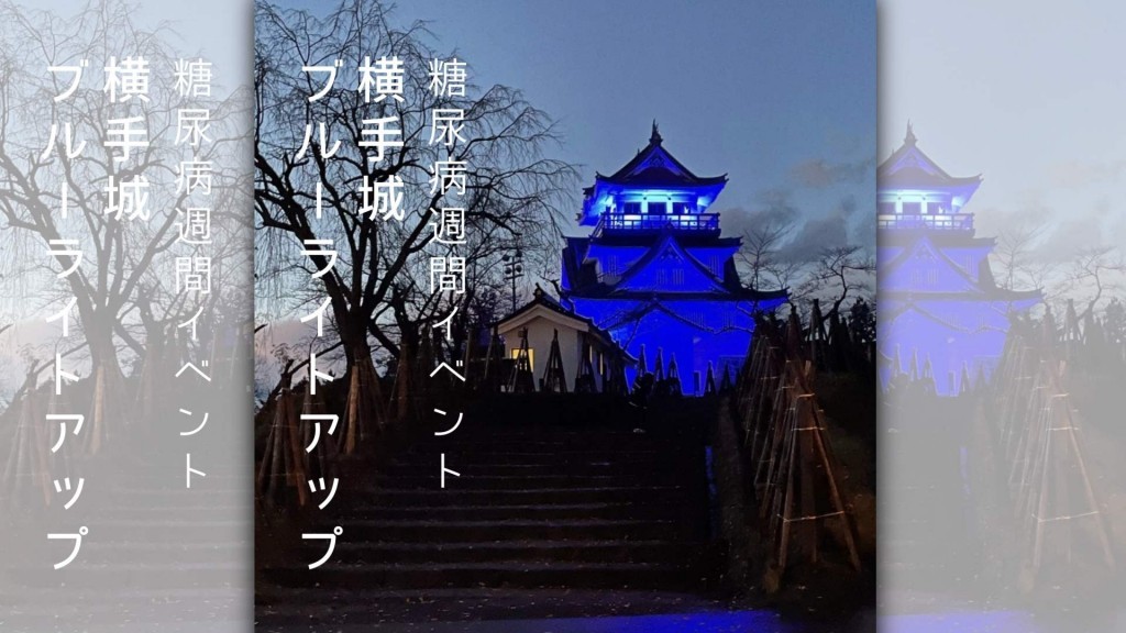 横手城ブルーライトアップ ～もっと糖尿病のことを知ってみませんか？～