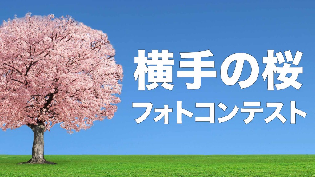 「横手の桜フォトコンテスト」開催