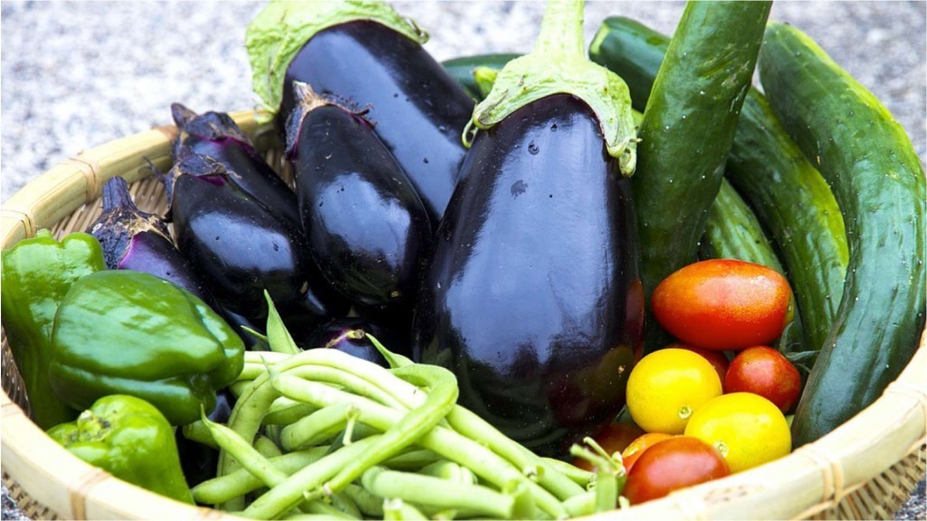 夏野菜の栽培講習会（座学）