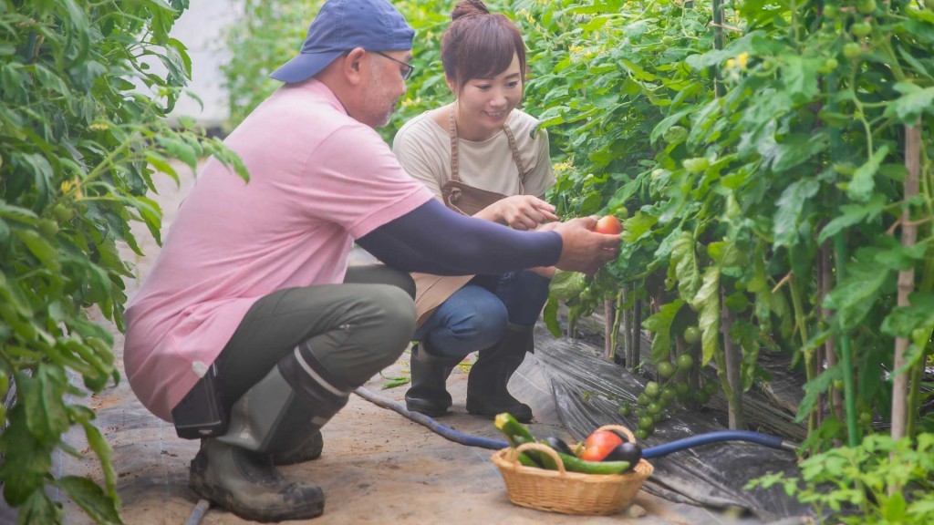 家族で営む農業経営について考えてみませんか