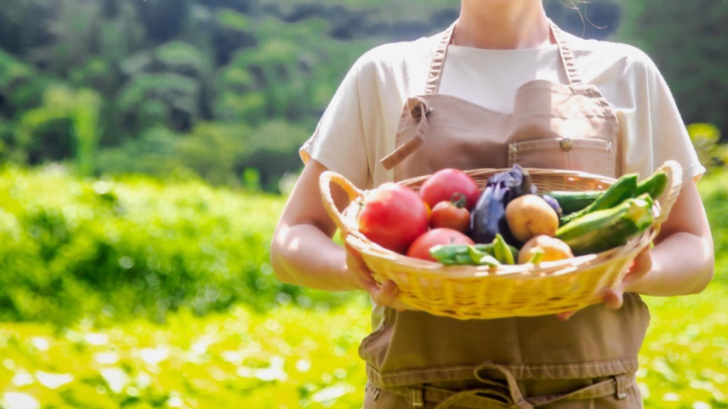 野菜や花を育てる楽しみを体験しませんか いきいき農園利用者募集