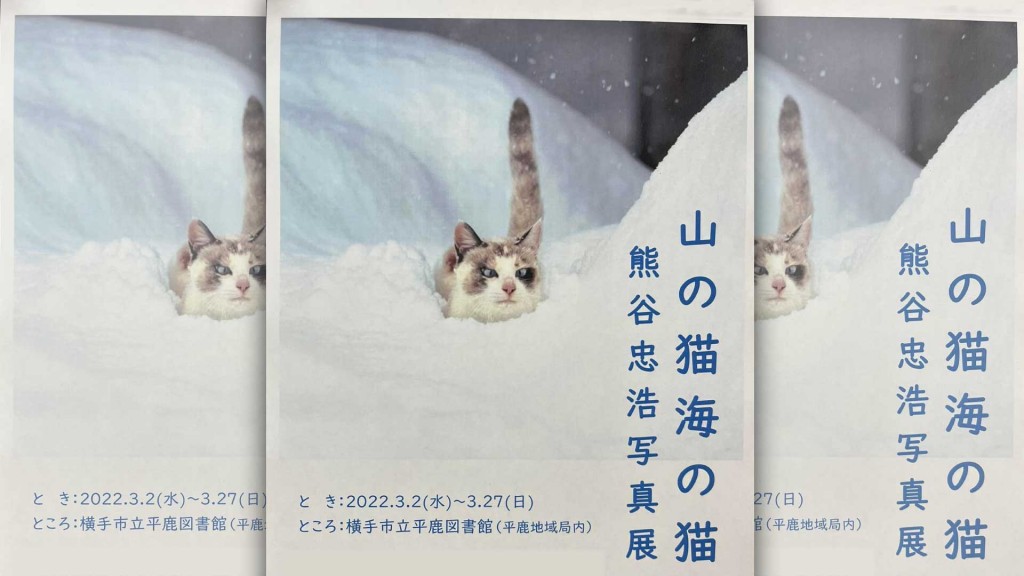 平鹿図書館 熊谷忠浩写真展『山の猫　海の猫』