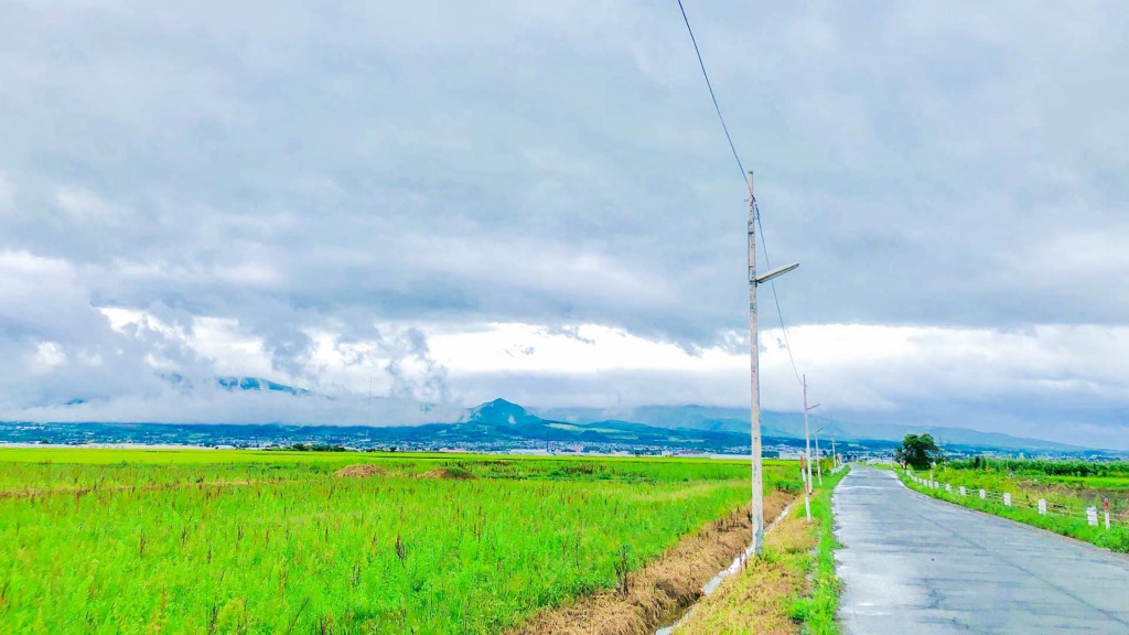 農地パトロールを実施します 適切な管理を心掛けましょう