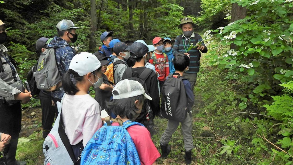 「釣りキチ三平の里」自然体験塾 花の百名山・栗駒山の麓の湿原・栗駒野鳥の森を散策