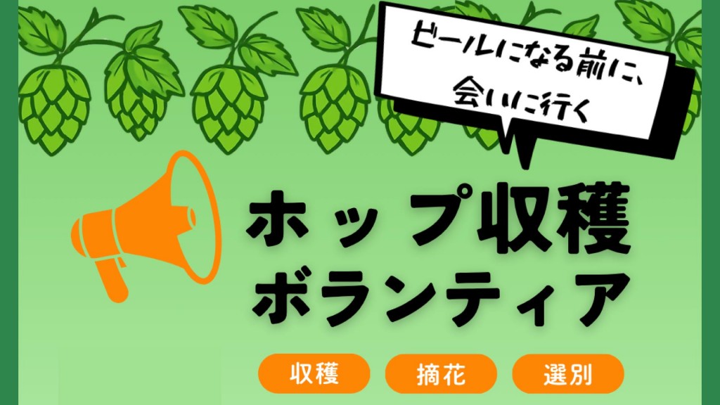横手産ホップ収穫ボランティアを募集します