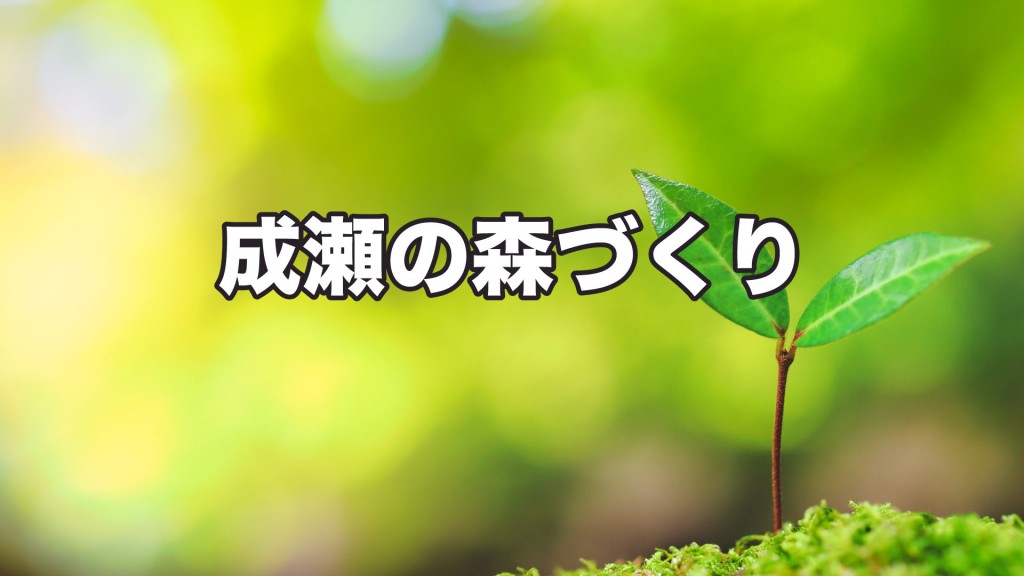 「第7回 成瀬の森づくり」参加者を募集します