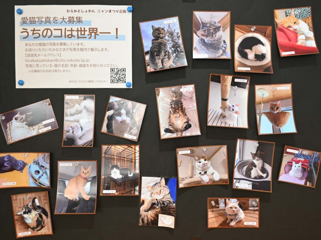 横手の図書館で猫の写真展　地元で撮影した作品46点を展示