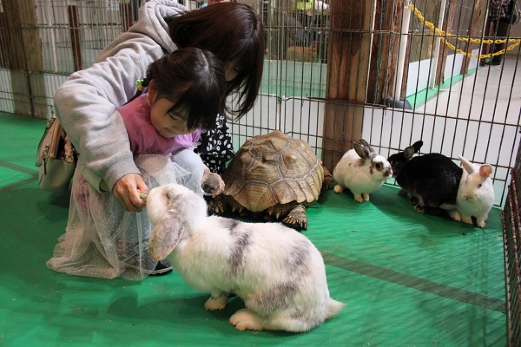 めっちゃかわいい動物ランド Mineba