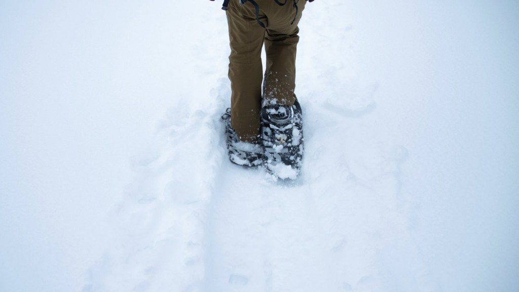 2026ノルディックスノーシューイング教室参加者募集