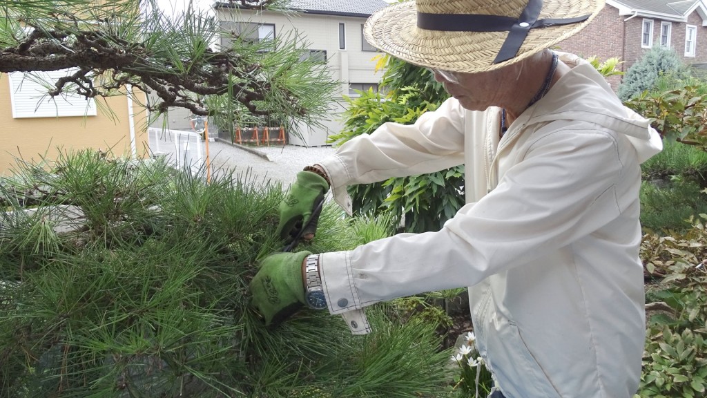 「庭木剪定講習」を開催します