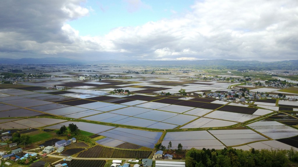 令和7年4月から農地賃借の方法が変わります