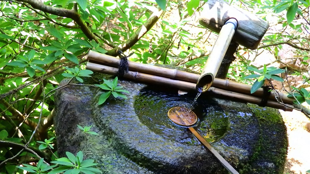 飲用井戸等の水質検査を受けましょう