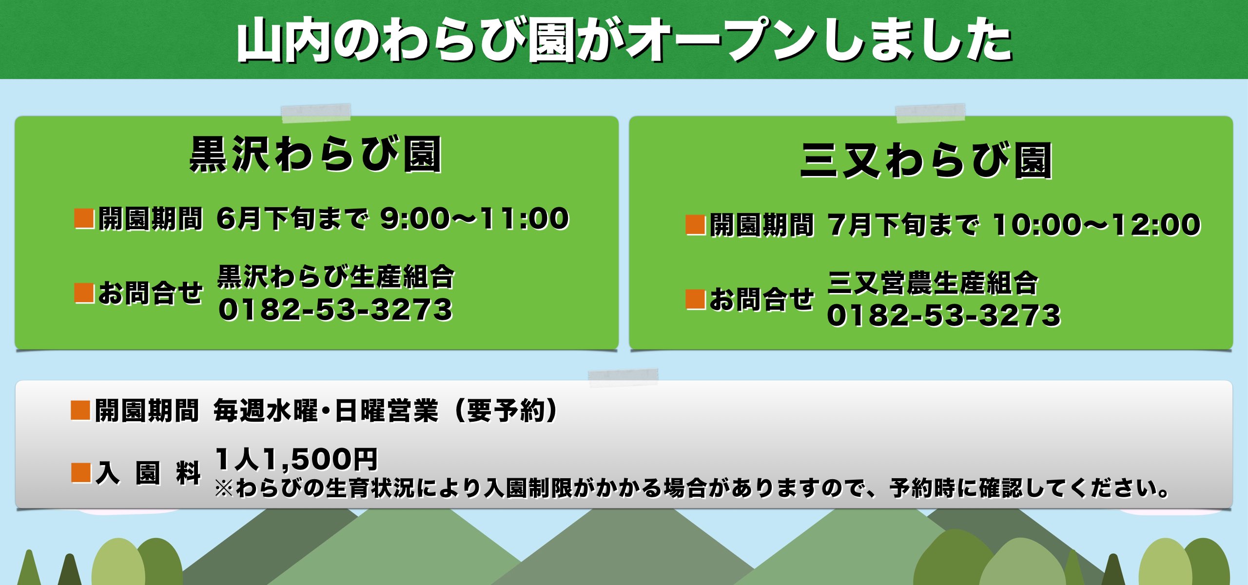 山内のわらび園がオープンしました