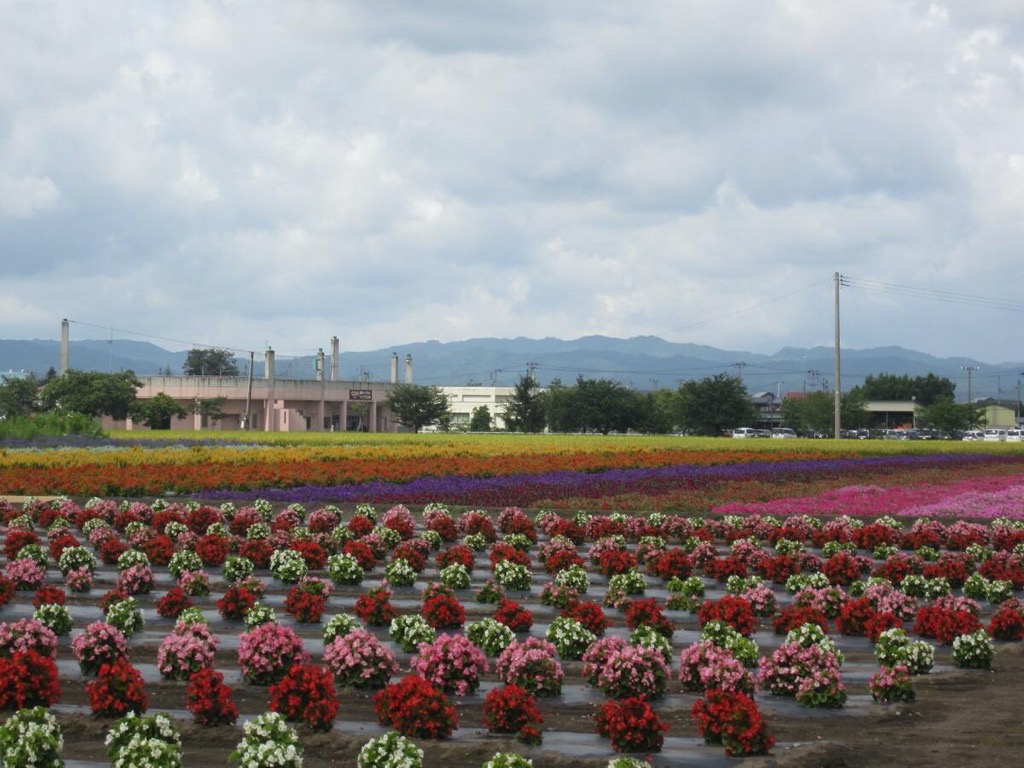 横手市の「たいゆう緑化園」でパノラマフェスタ　400人が来場