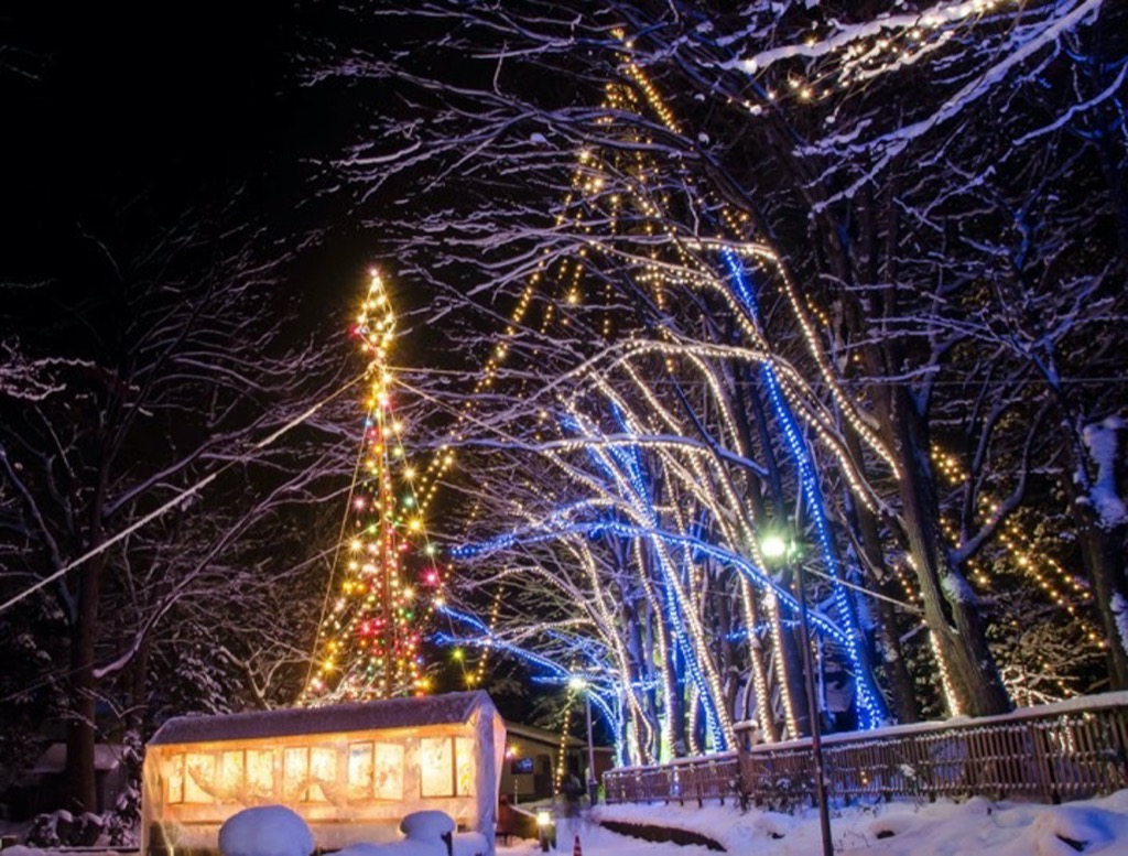 横手の「槻の木」クリスマスツリー、今年も　点灯式で花火と競演も